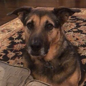 Meet your Posher, Beth